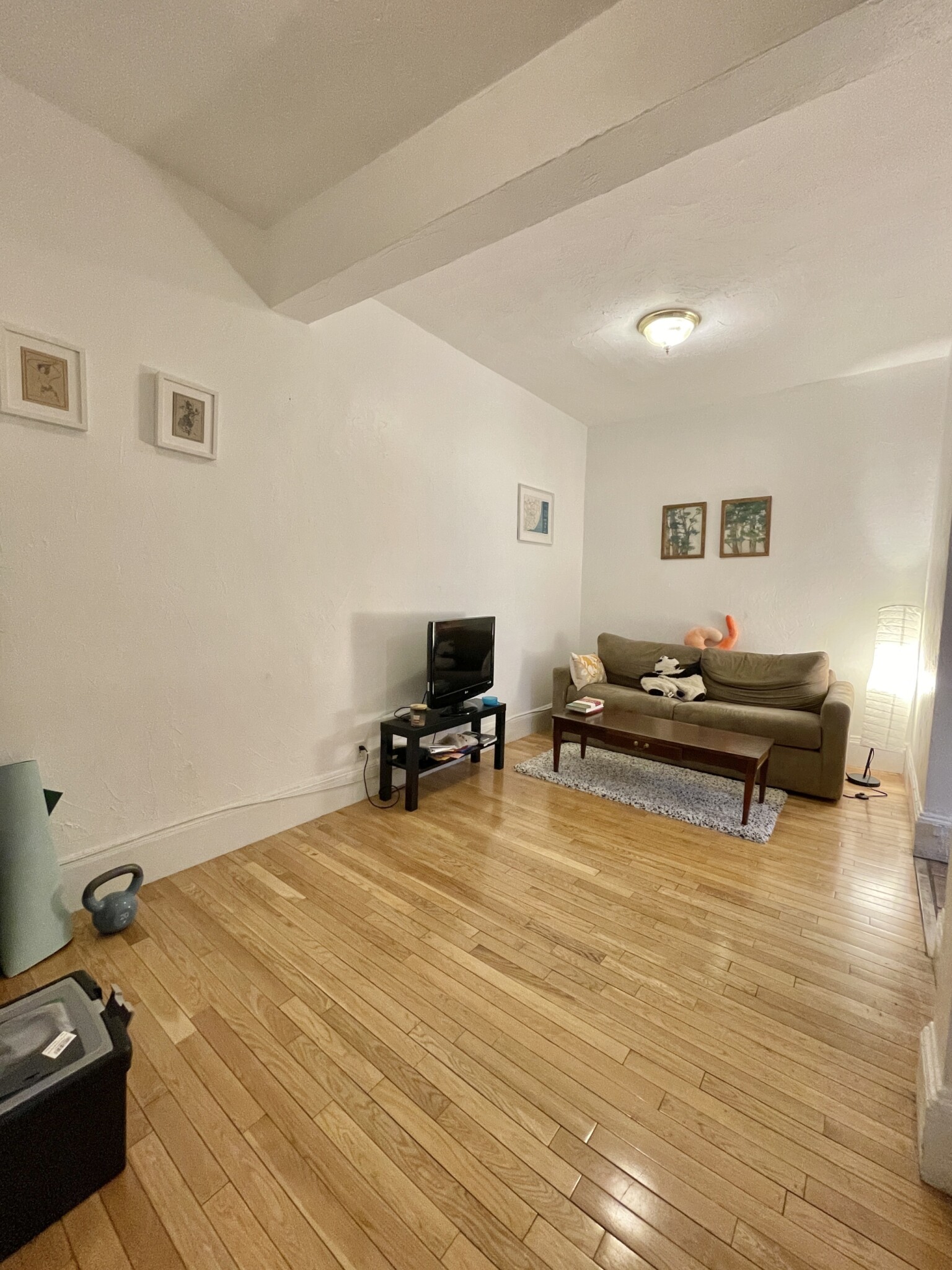 1 bed, 1 bath apartment for rent at 235 Harvard Ave Unit 4, Allston — photo 54 of 61