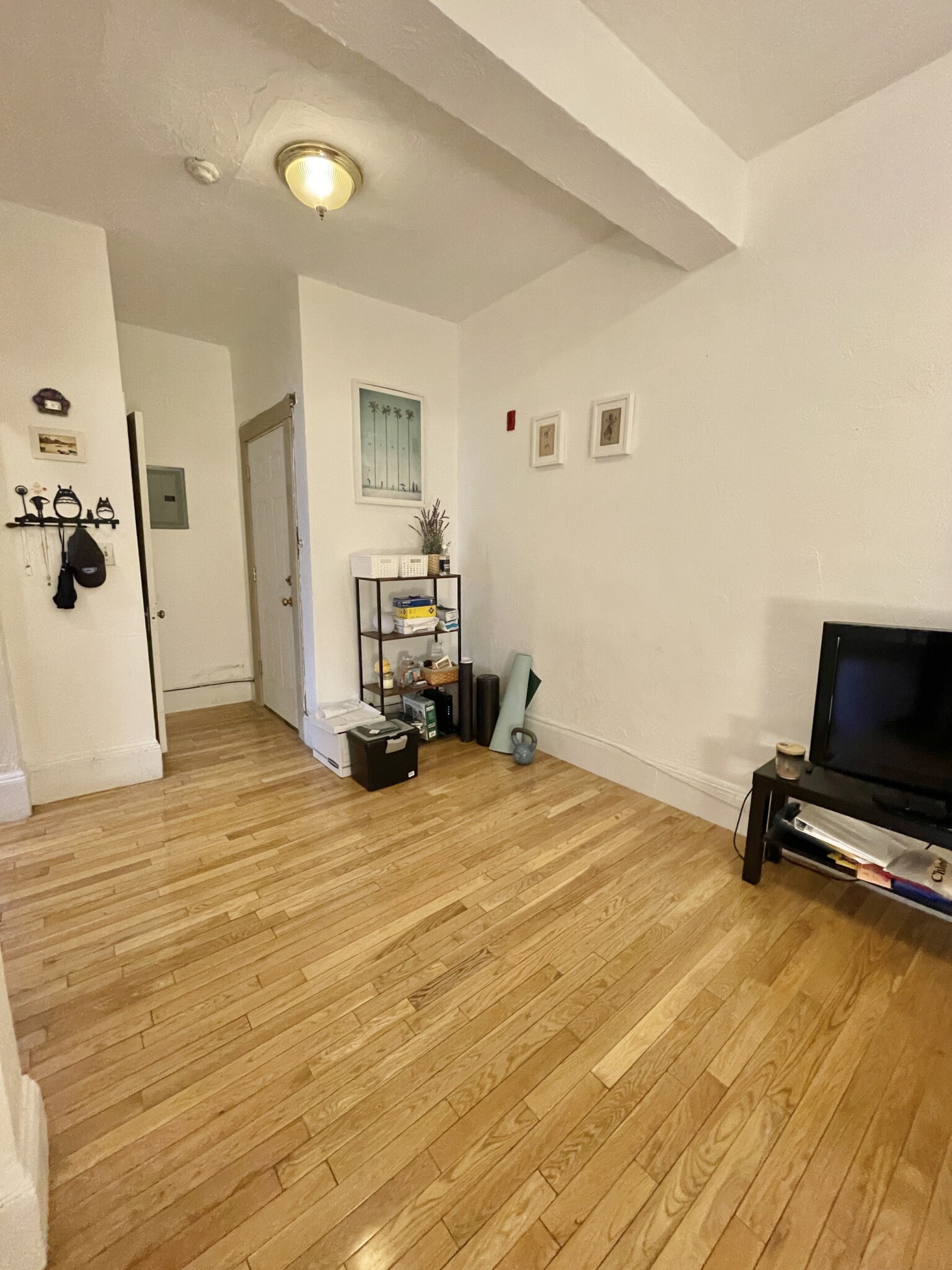 1 bed, 1 bath apartment for rent at 235 Harvard Ave Unit 4, Allston — photo 59 of 61