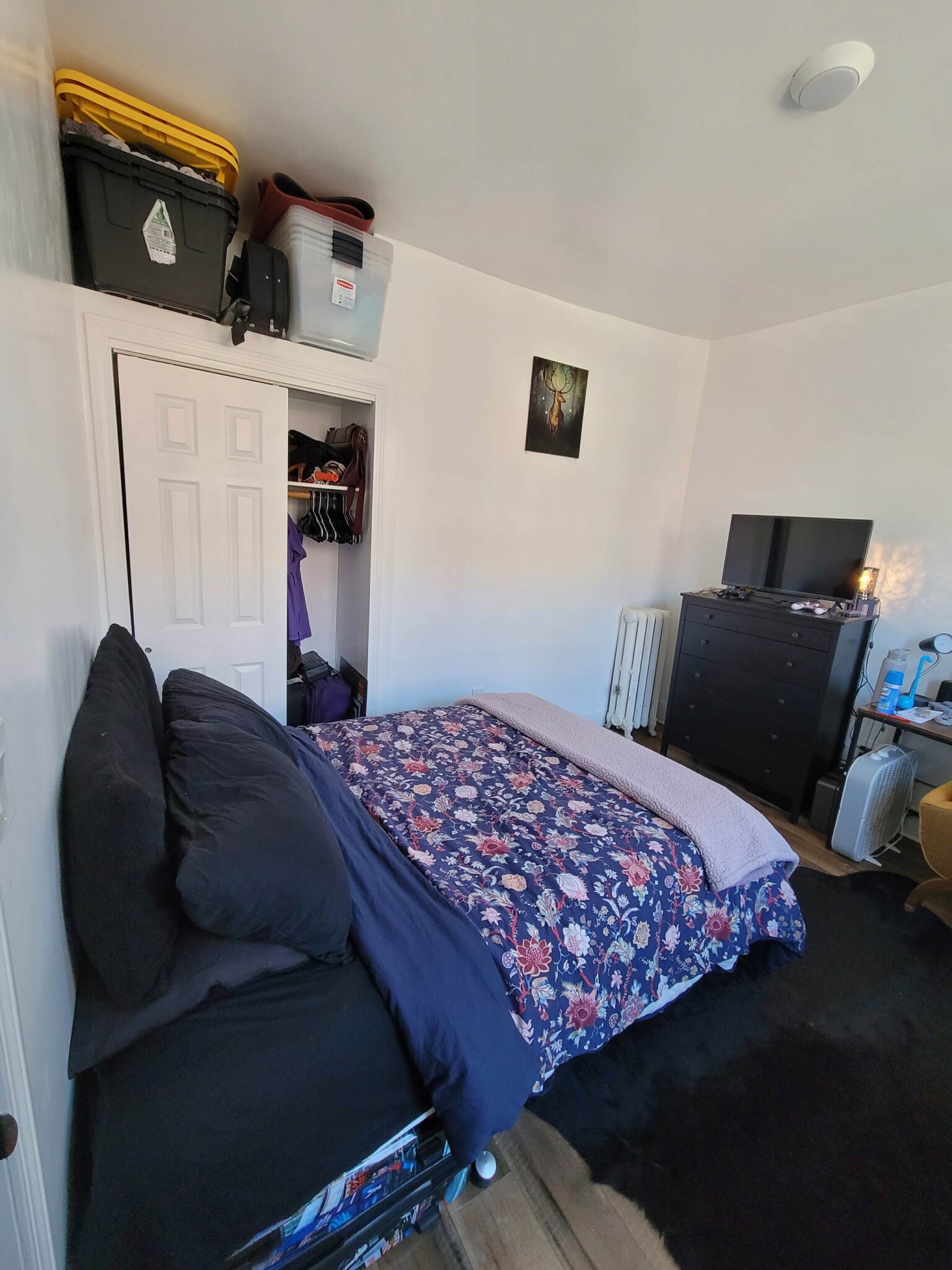 1 bed, 1 bath apartment for rent at 231 Harvard Ave Unit 5, Allston — photo 6 of 13
