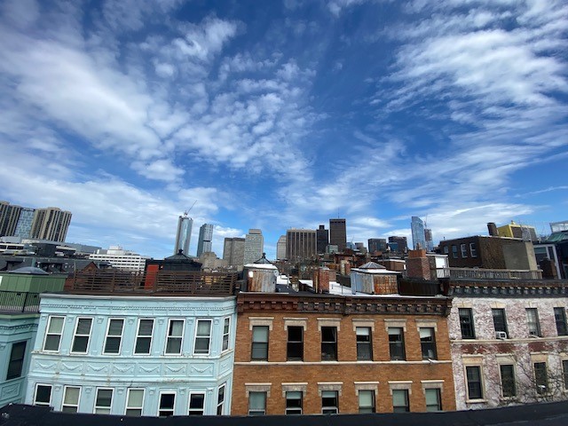 2 bed, 1 bath apartment for rent at 35 Grove St Unit 10, Beacon Hill — photo 23 of 23