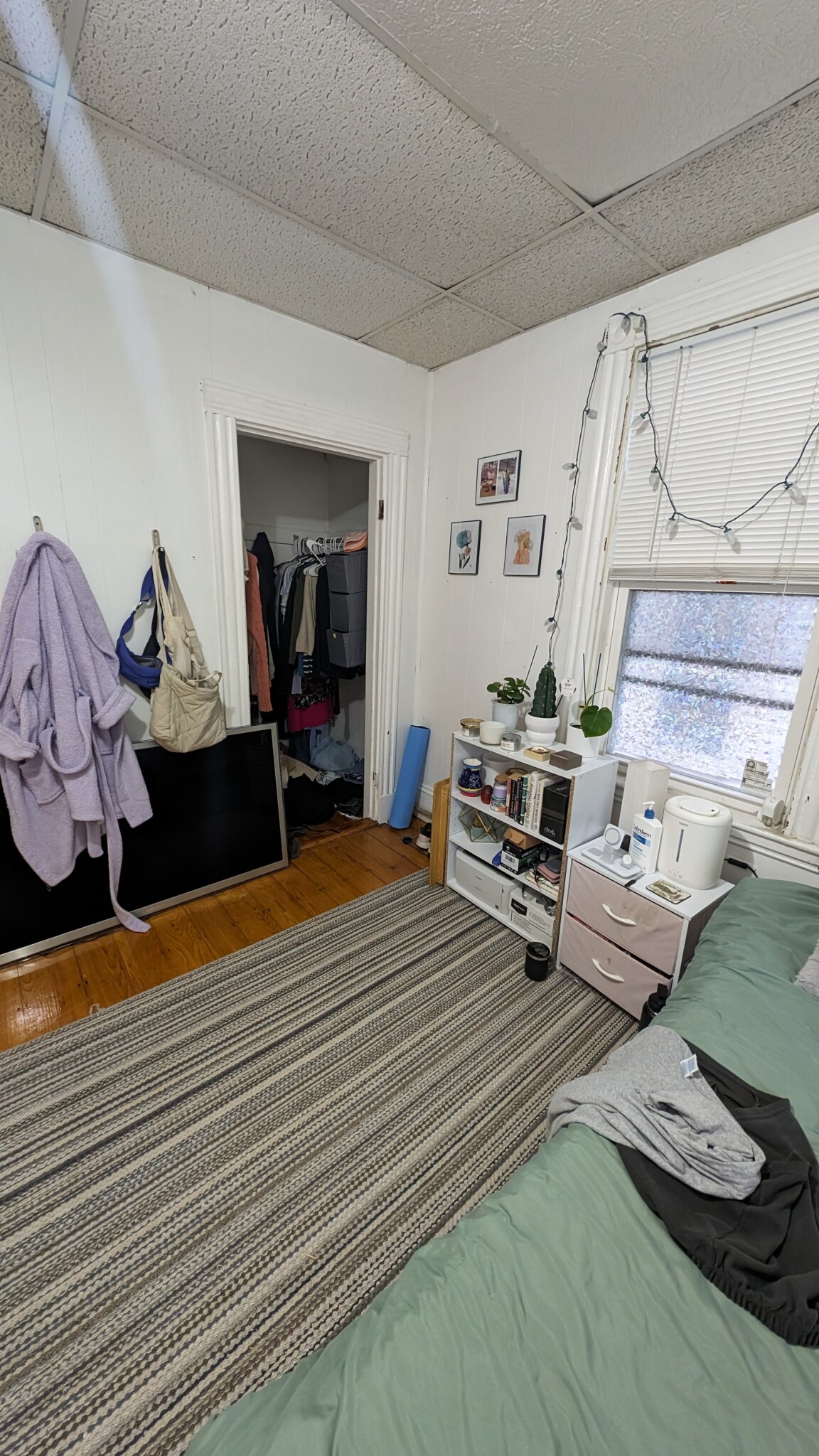 50 Fisher Ave, Mission Hill