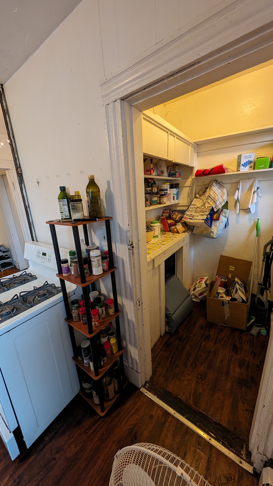 50 Fisher Ave, Mission Hill