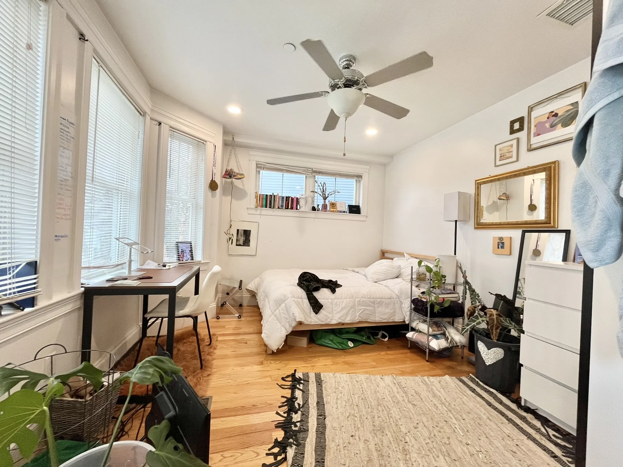 6 Fern St, Allston