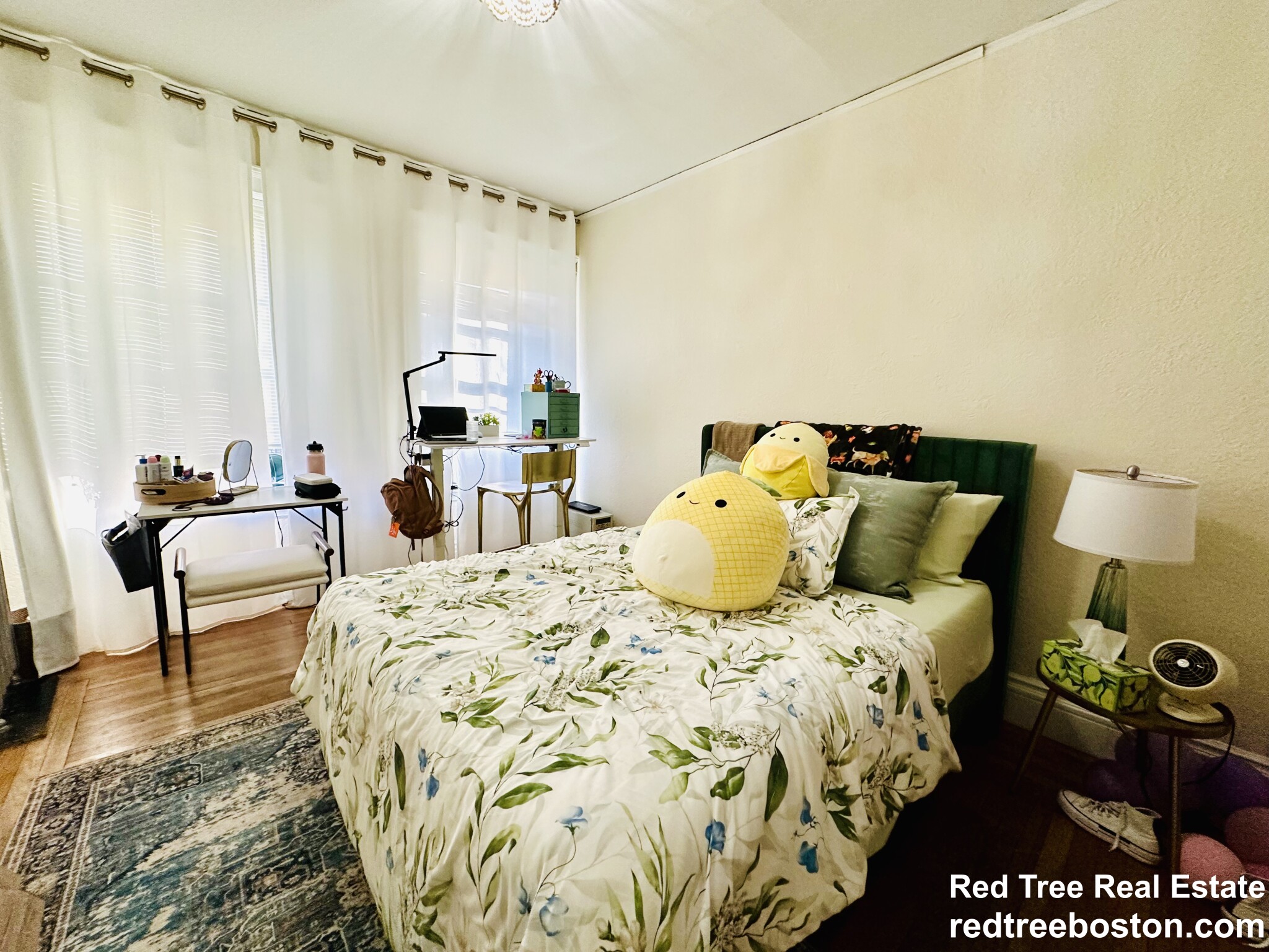 11 Euston St, Brookline