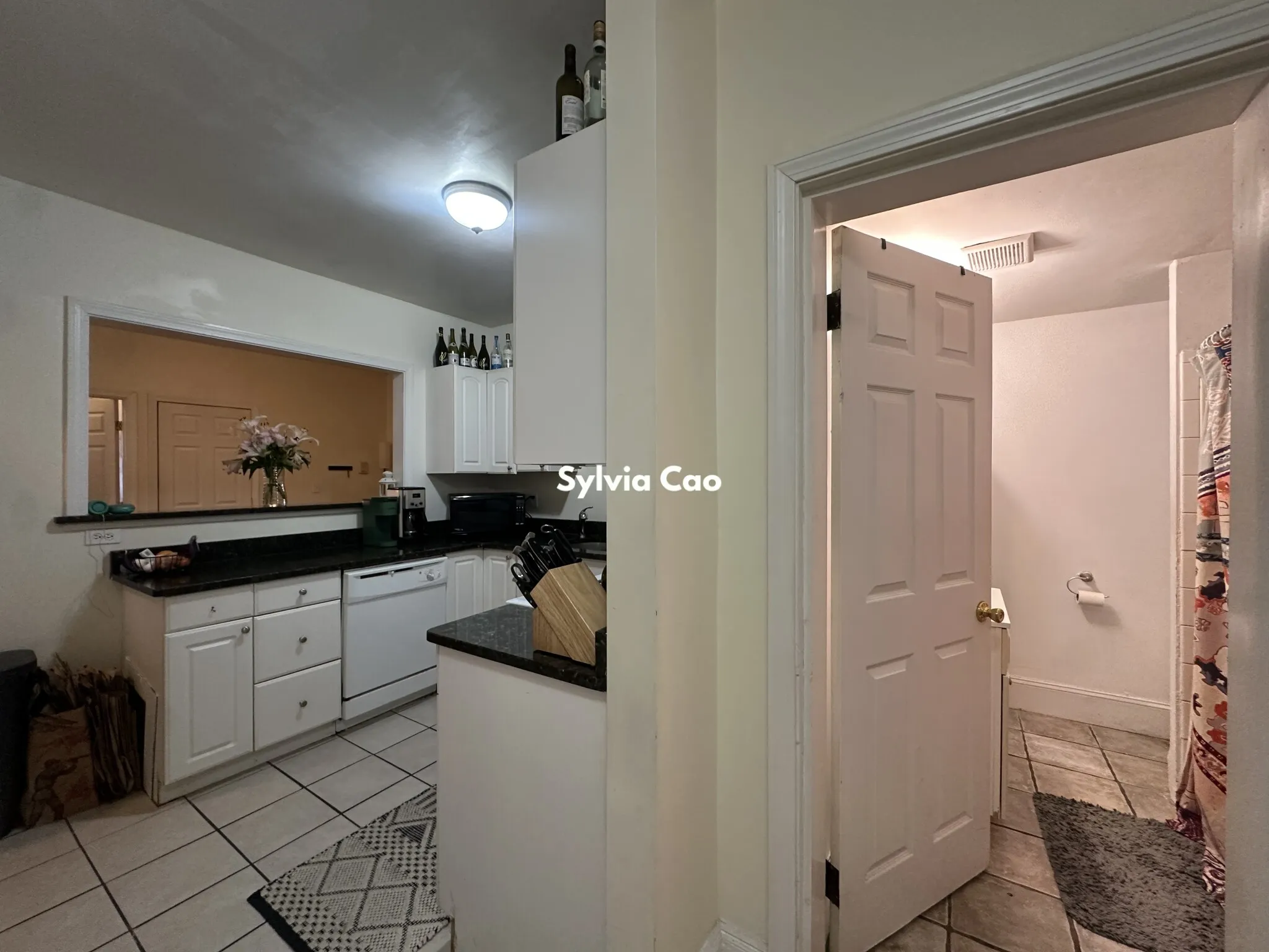 54 Egmont St, North Brookline