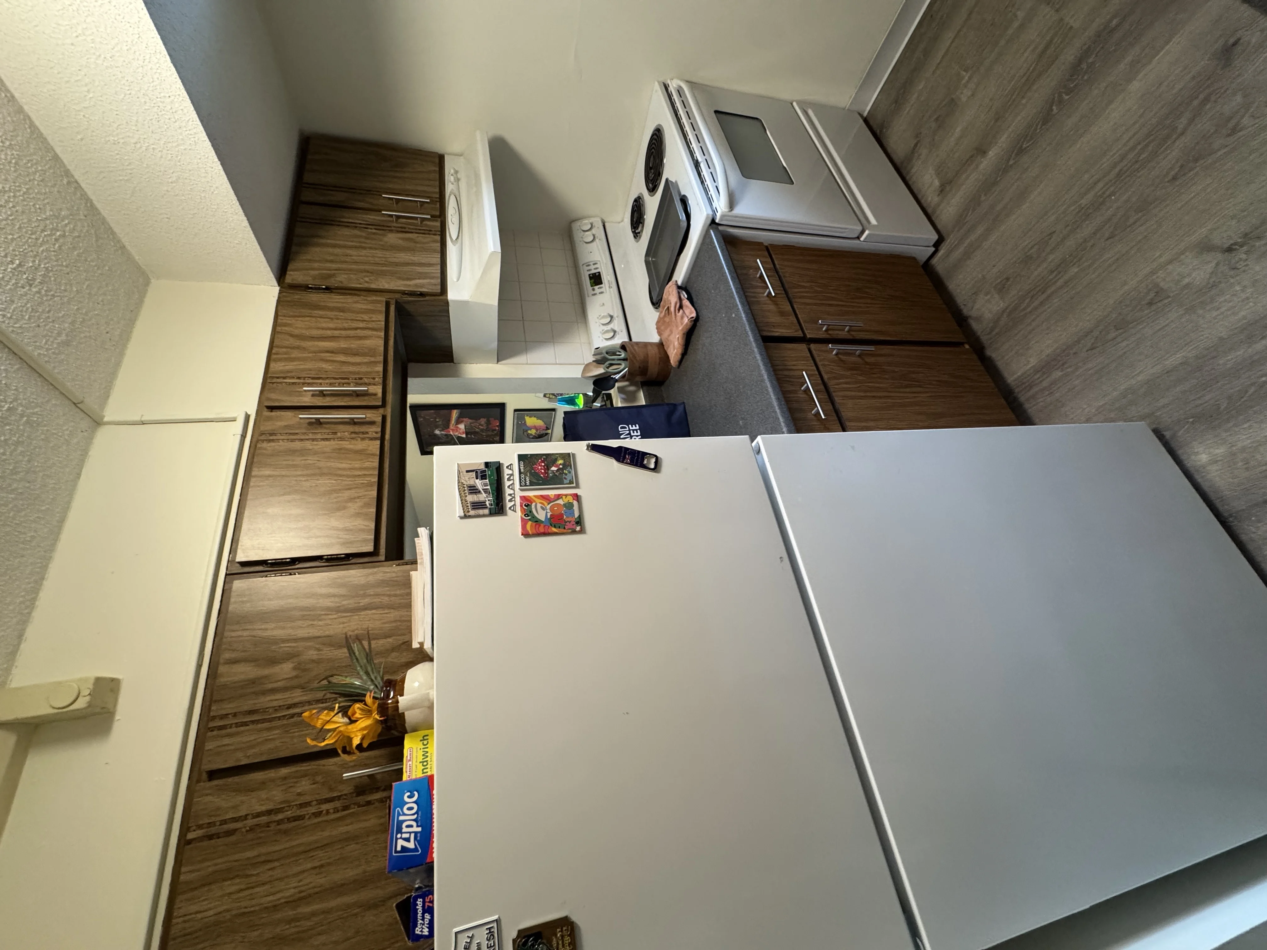 49 Marion St, Coolidge Corner