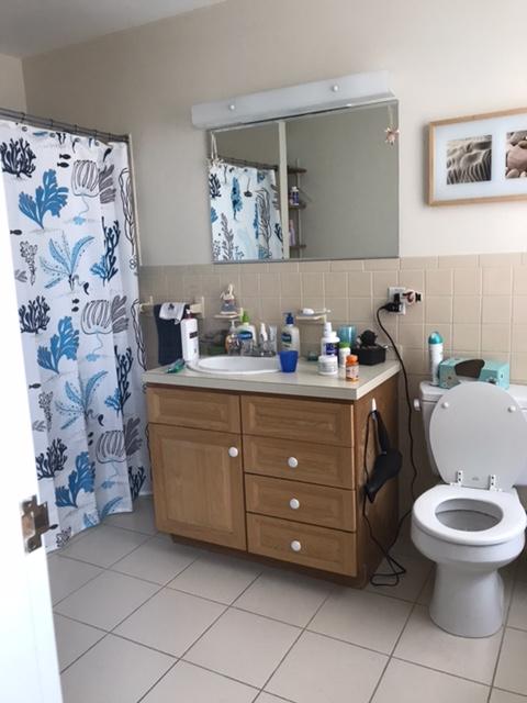 1 bed, 1 bath apartment for rent at 12 Summer St Unit 2, Charlestown — photo 3 of 4