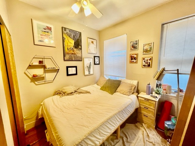 2 bed, 1 bath apartment for rent at 4 Baldwin Pl Unit 4, North End — photo 11 of 13