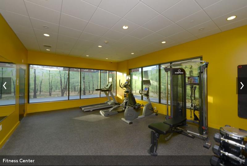 2 bed, 2 bath apartment for rent at 603 Concord Ave Unit 411T, Cambridge Highlands — photo 6 of 8