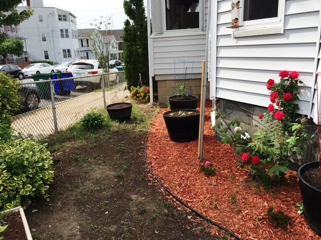 2 bed, 1 bath apartment for rent at 604 Main St Unit 2, Medford — photo 13 of 14