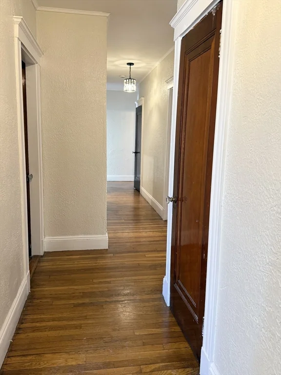 123 Glendower Rd, Roslindale