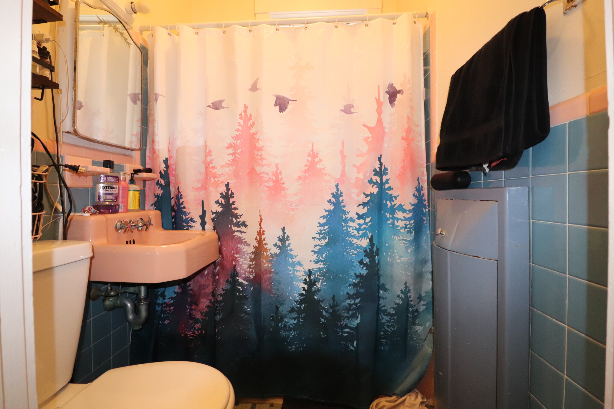 1 bed, 1 bath apartment for rent at 122 Babcock St Unit 3A, Coolidge Corner — photo 9 of 10