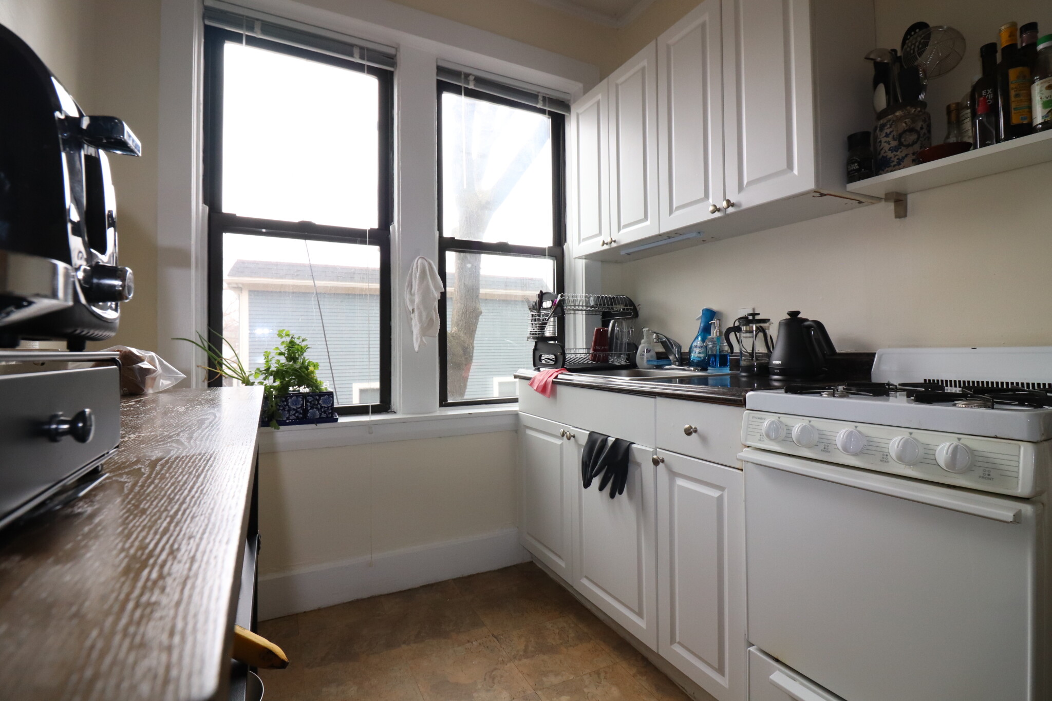 1 bed, 1 bath apartment for rent at 122 Babcock St Unit 34A, North Brookline — photo 4 of 11