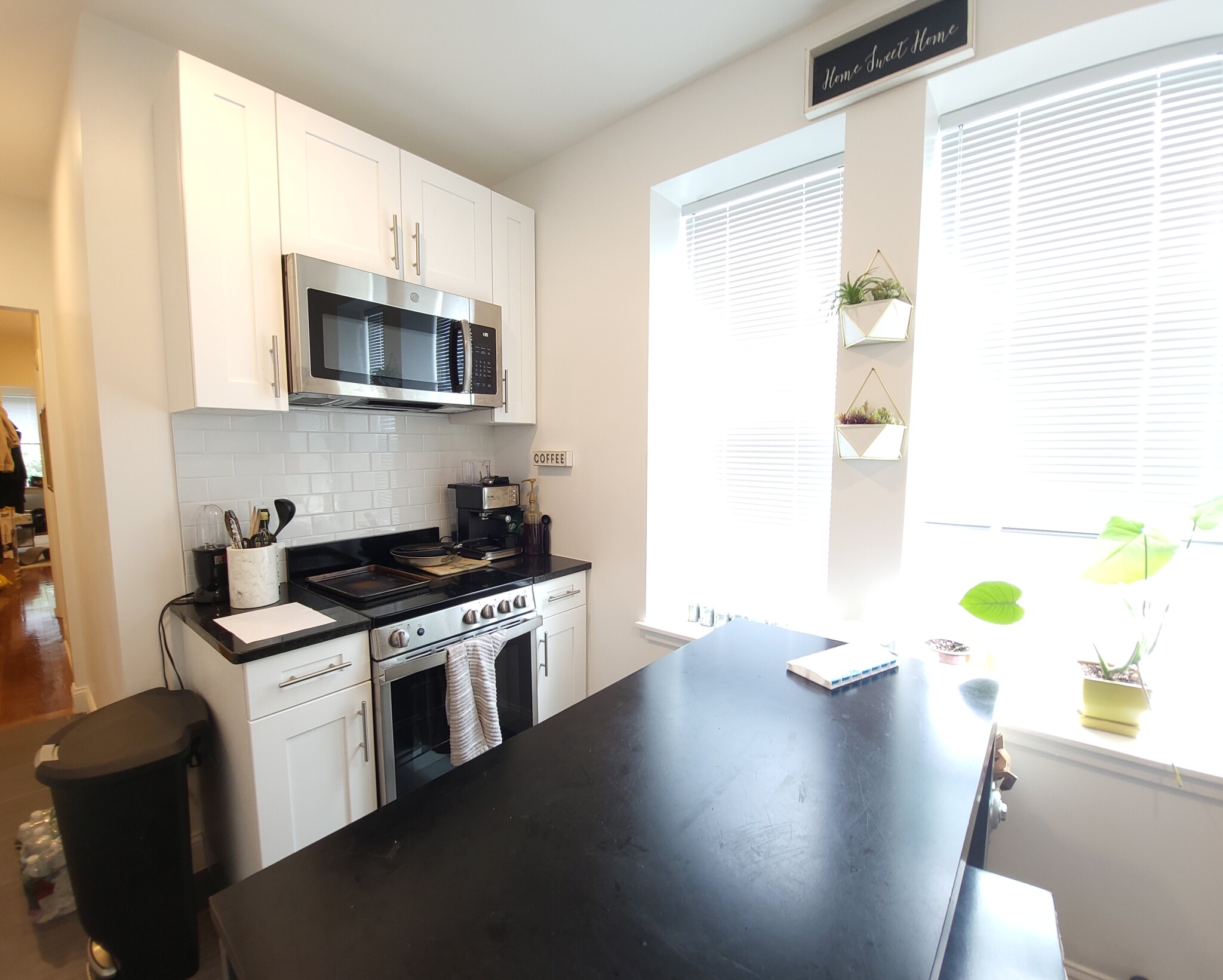 1 bed, 1 bath apartment for rent at 123 Sutherland Rd Unit M..., Brighton — photo 4 of 4