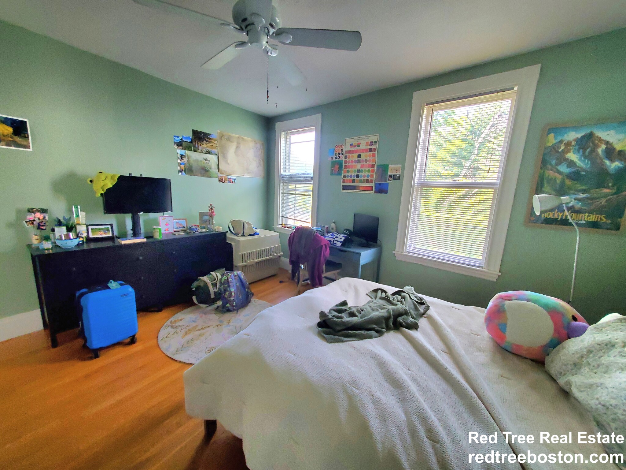 234 Cypress St, Brookline