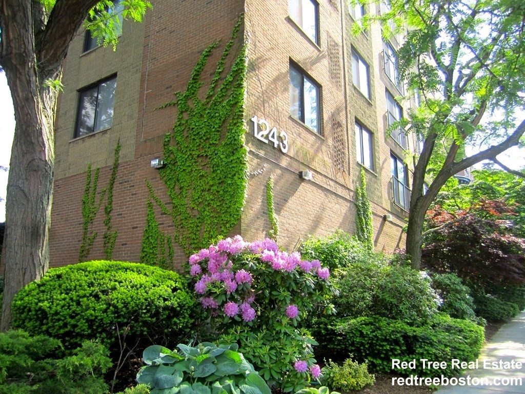 2 bed, 2 bath apartment for rent at 1243 Beacon St Unit 8-A, Coolidge Corner — photo 15 of 15