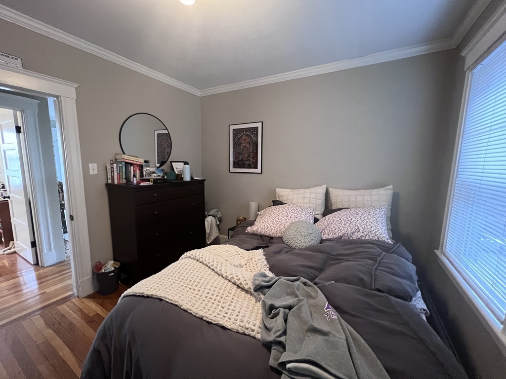 7 Roberts Rd, Harvard Square