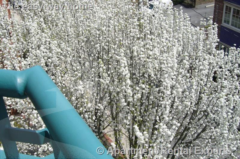 175 Beacon St, Ward Two