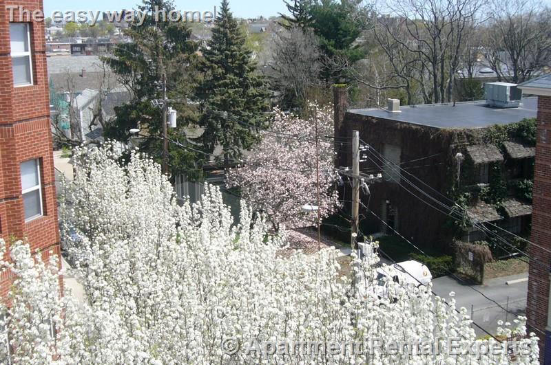 175 Beacon St, Ward Two