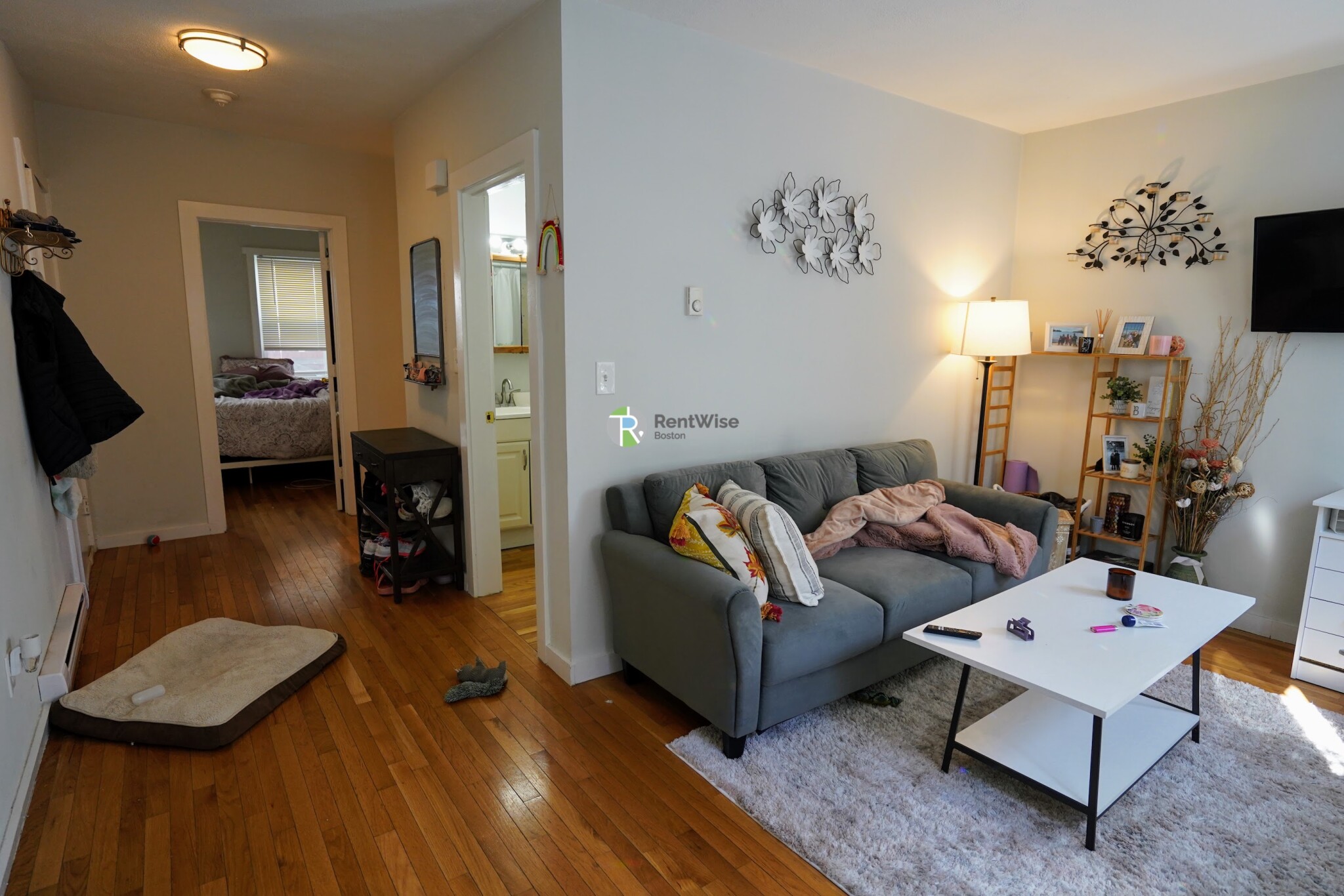 3 Schrepel Pl, South Boston