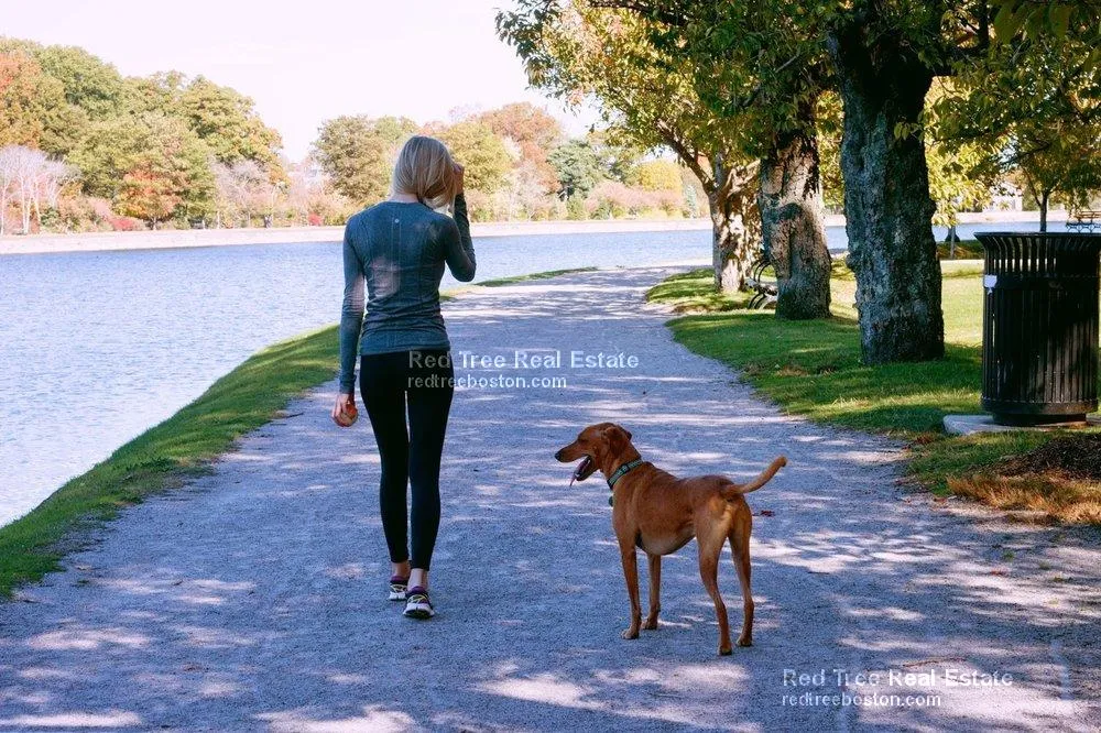 33 Lancaster Ter, Corey Hill