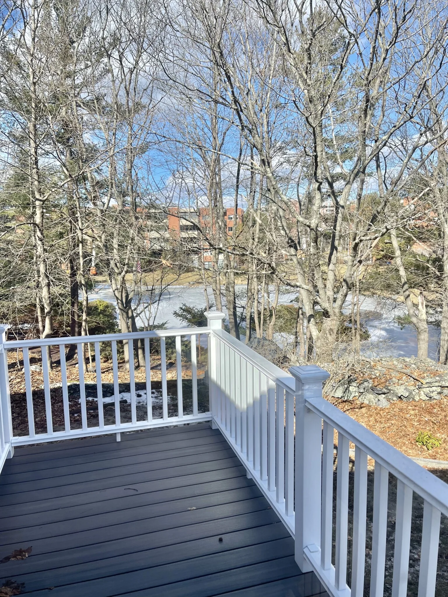 77 Louise, Chestnut Hill