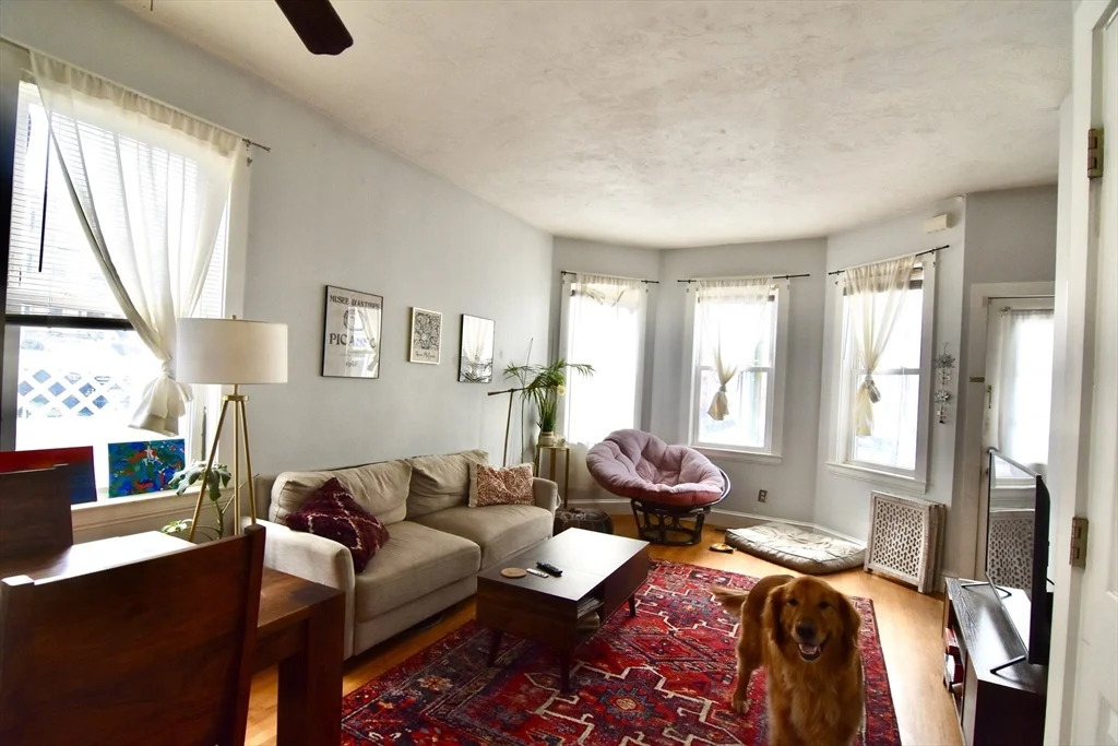 5 Sea View Ter, Dorchester