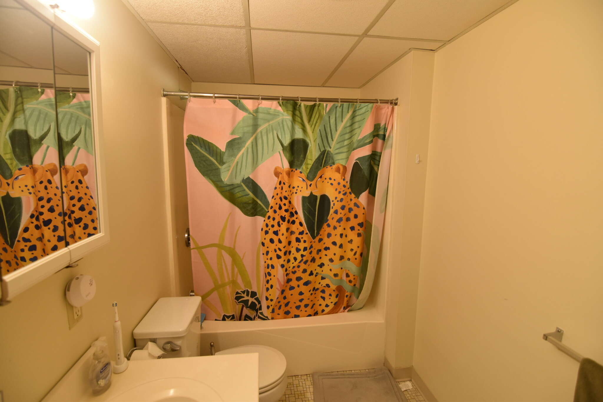 80 Pleasant St, Coolidge Corner