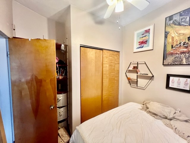 2 bed, 1 bath apartment for rent at 4 Baldwin Pl Unit 4, North End — photo 12 of 13