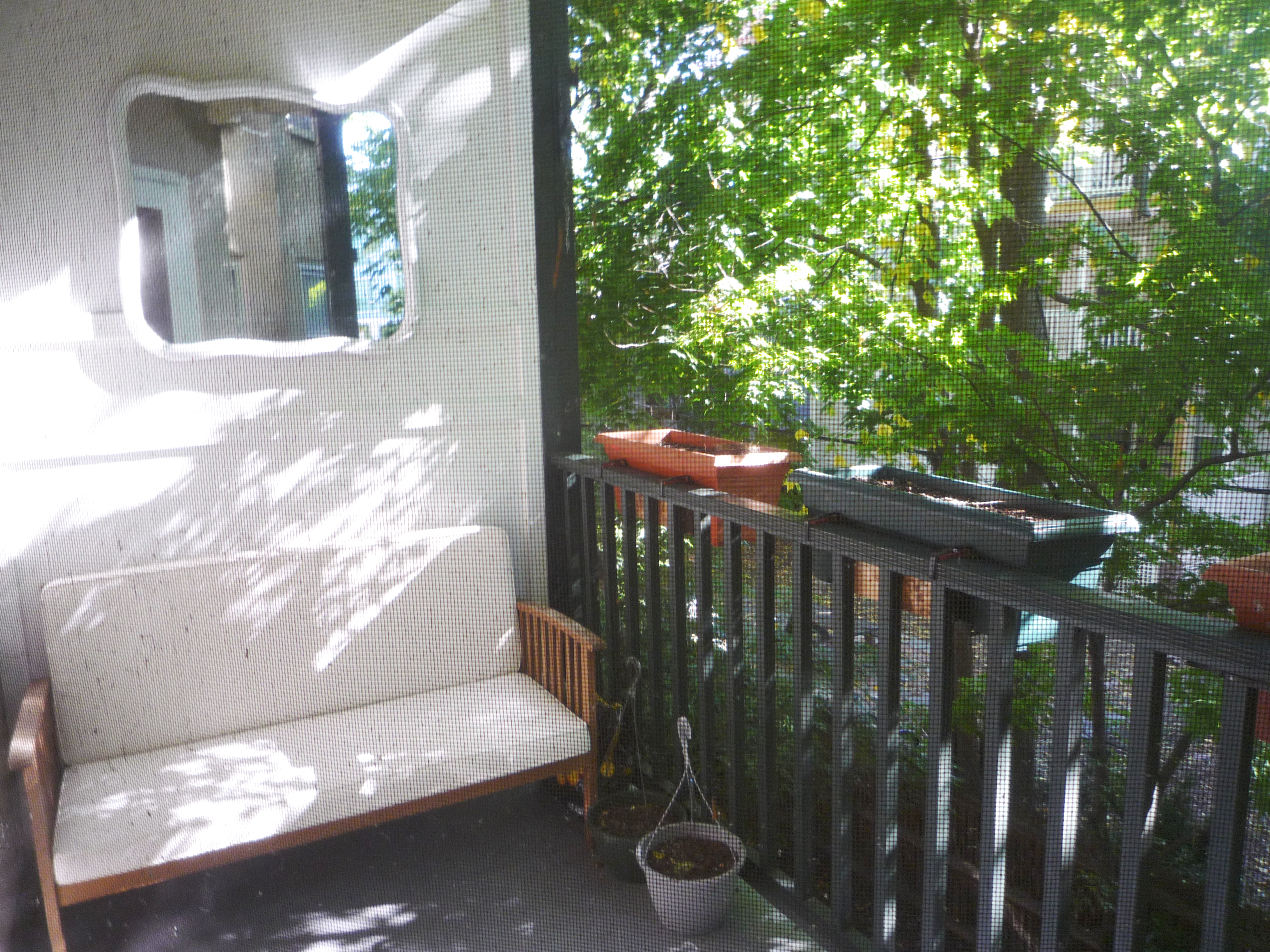 2 bed, 1 bath apartment for rent at 12 Remington St Unit 206, Harvard Square — photo 13 of 27