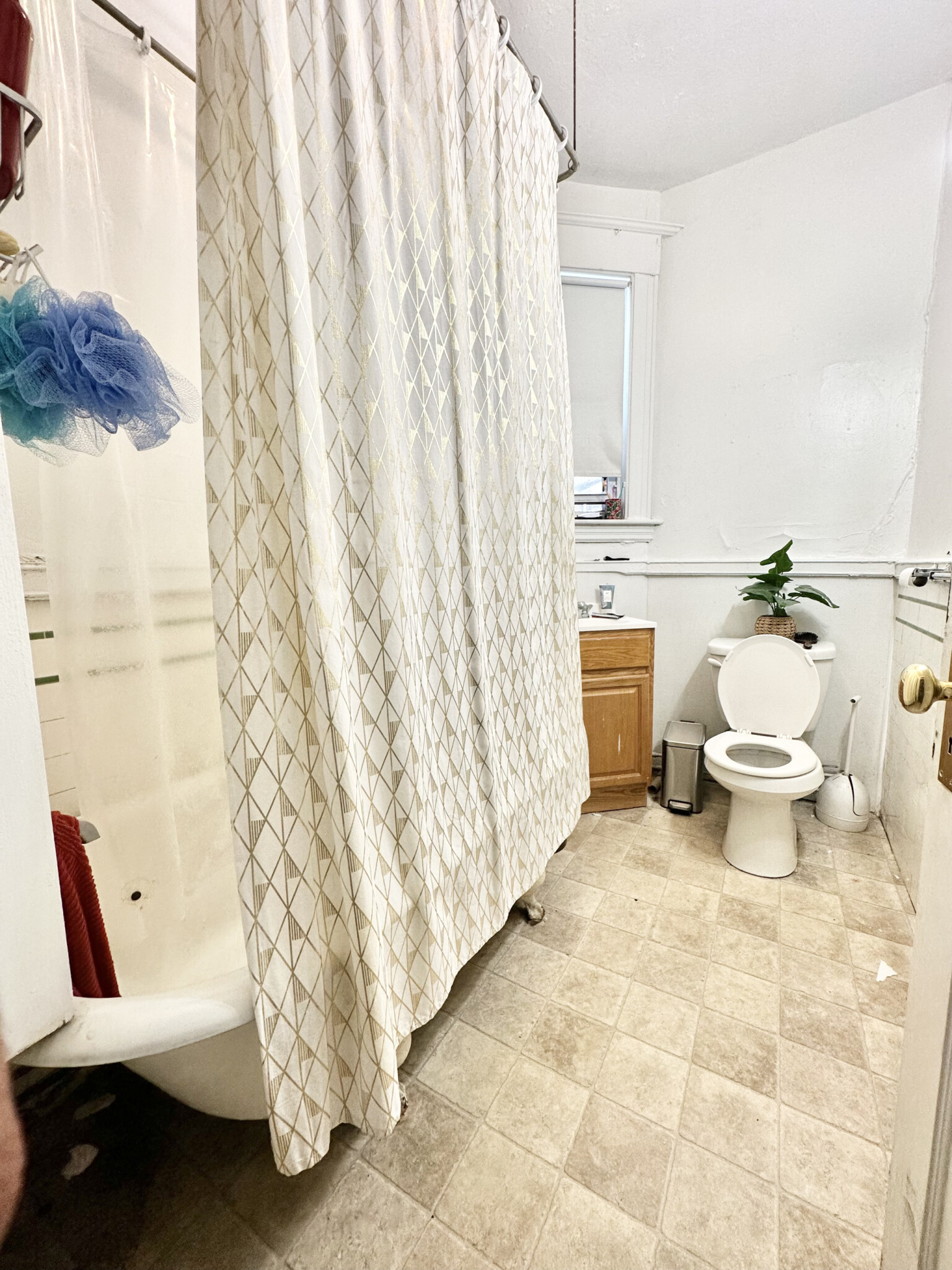 2 bed, 1 bath apartment for rent at 130 Englewood Ave Unit 5., Brighton — photo 2 of 3