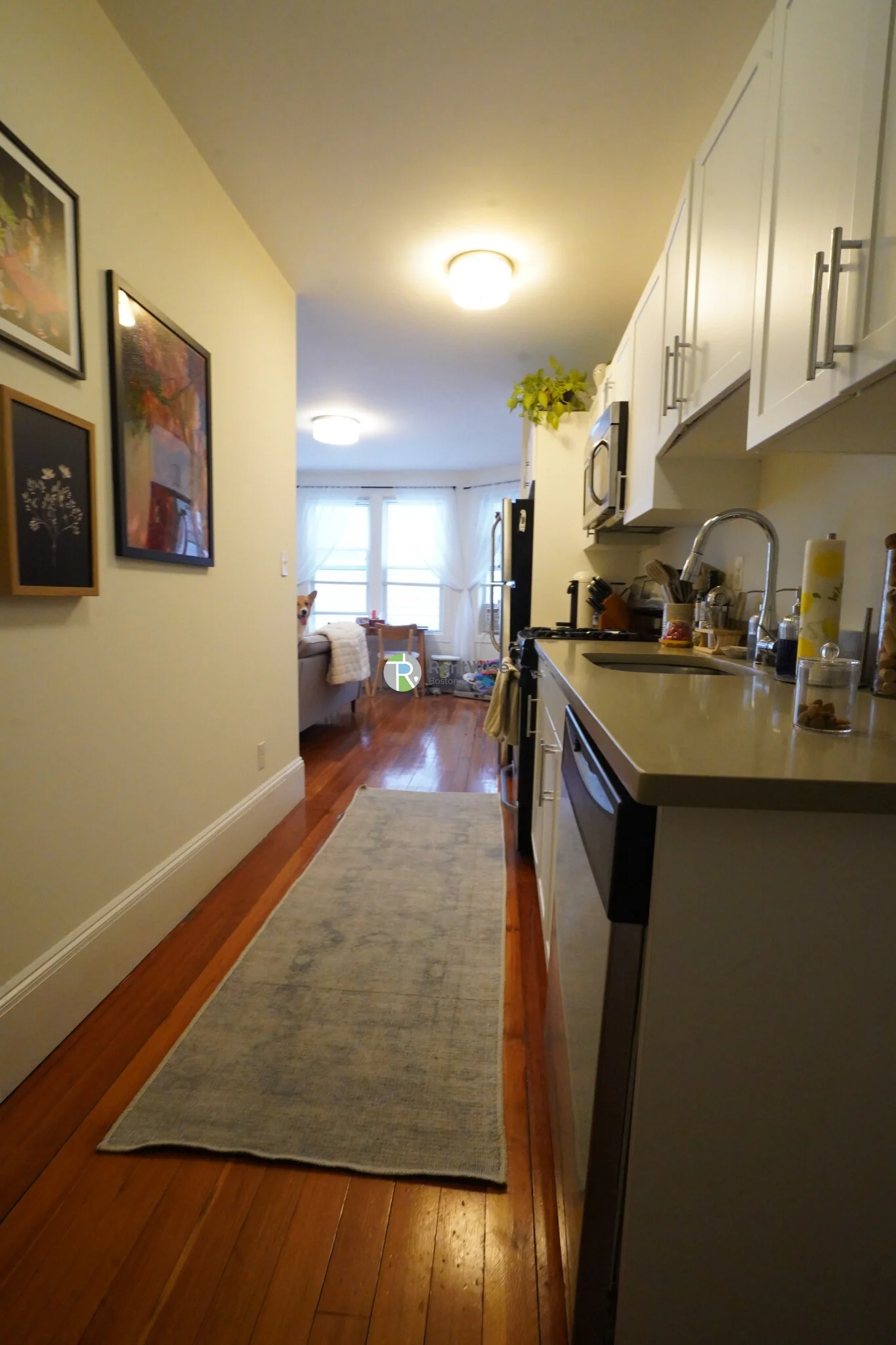 83 Harvard St, Central Village