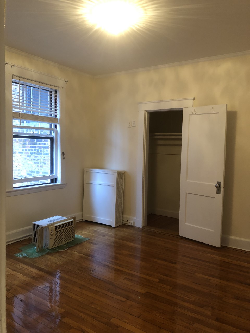 2 bed, 1 bath apartment for rent at 131 Freeman St Unit 1A, Coolidge Corner — photo 5 of 14