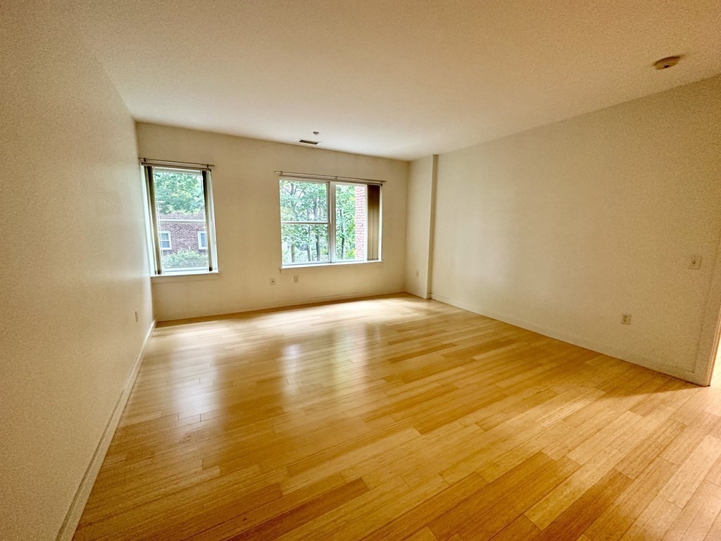 99 Chestnut Hill Ave, Brighton