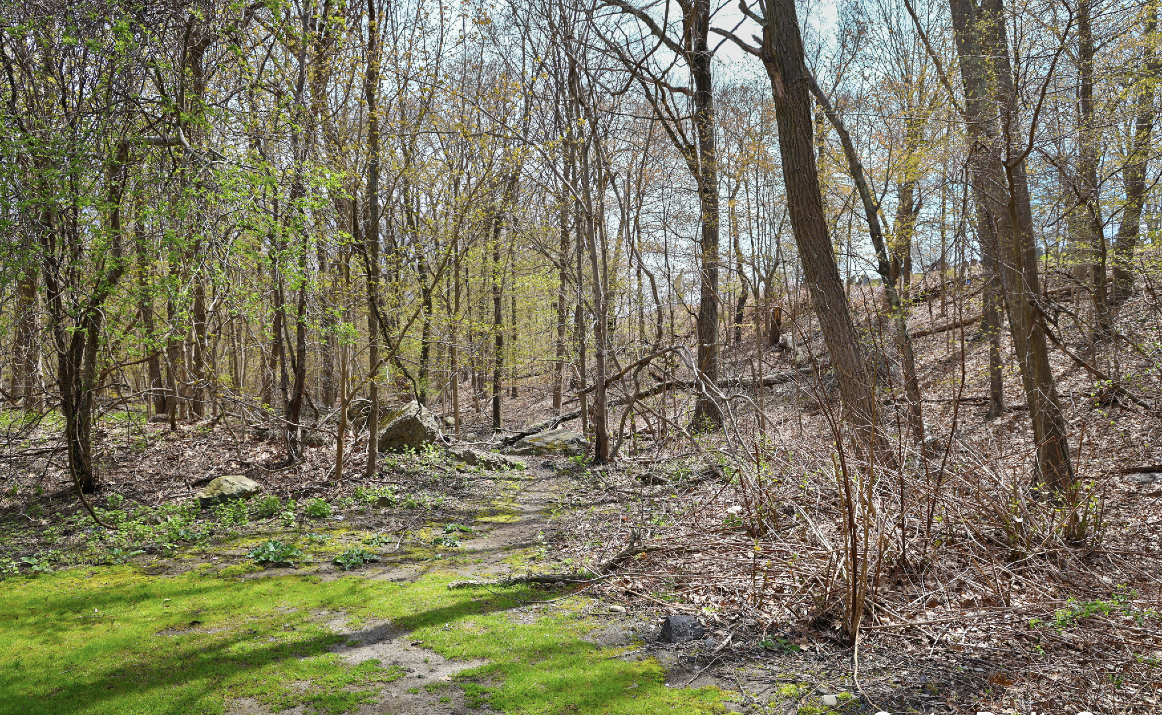 31 Westgate Rd, Chestnut Hill