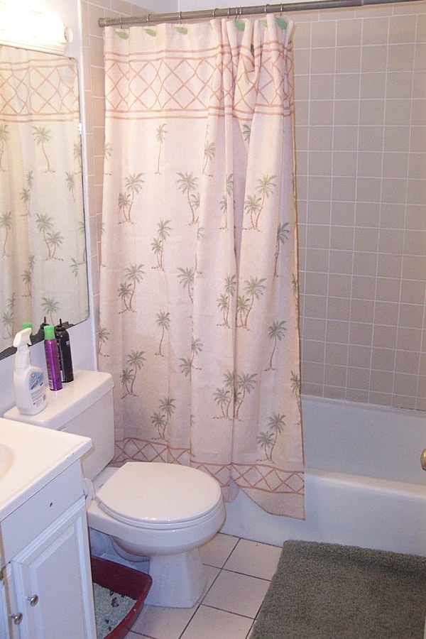 772 Columbus Ave, Roxbury