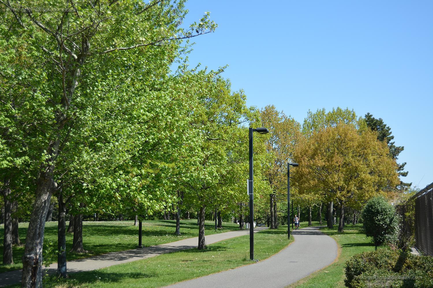 3611 Washington St, Jamaica Plain