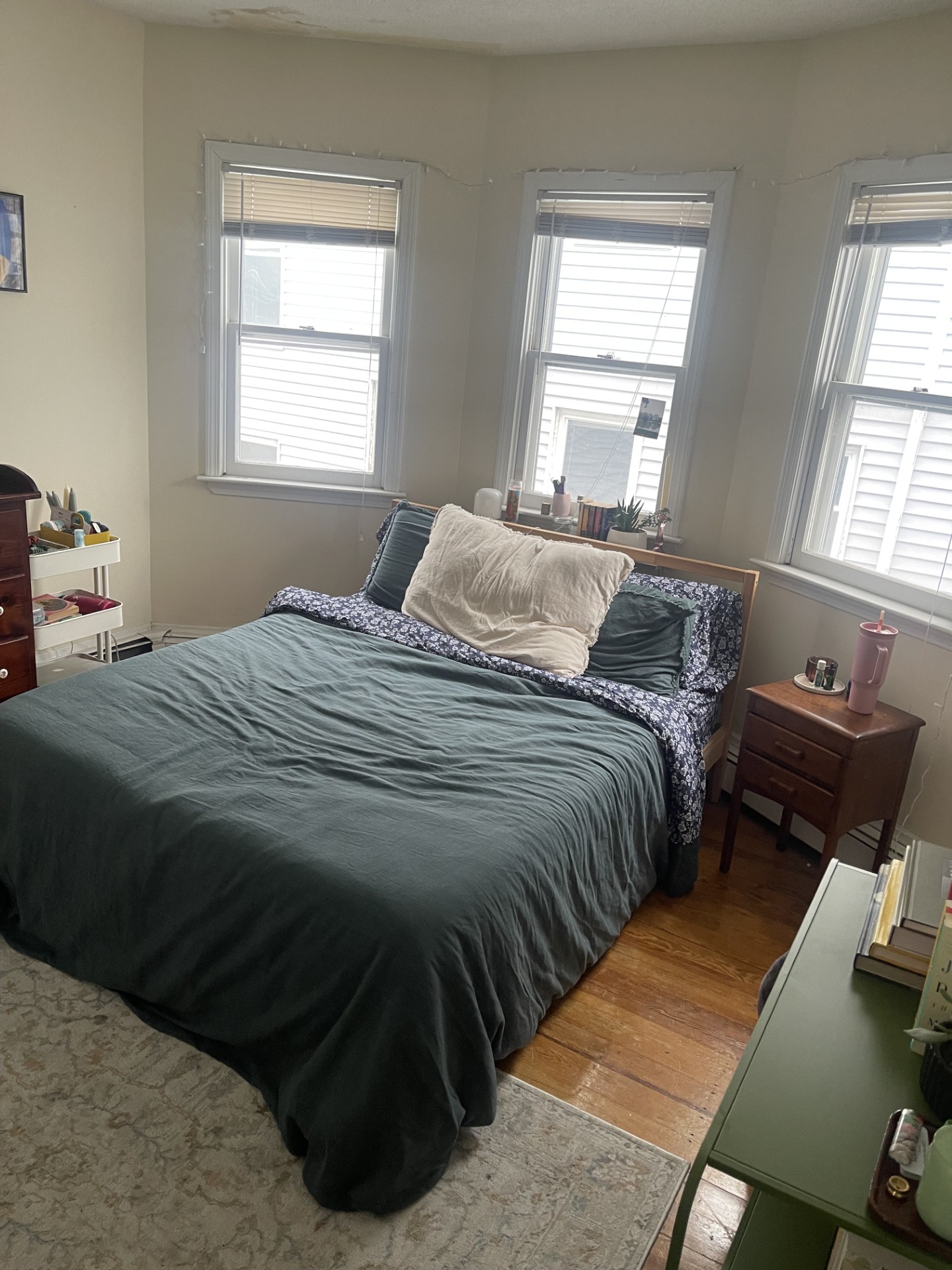 68 Winchester St, South Medford