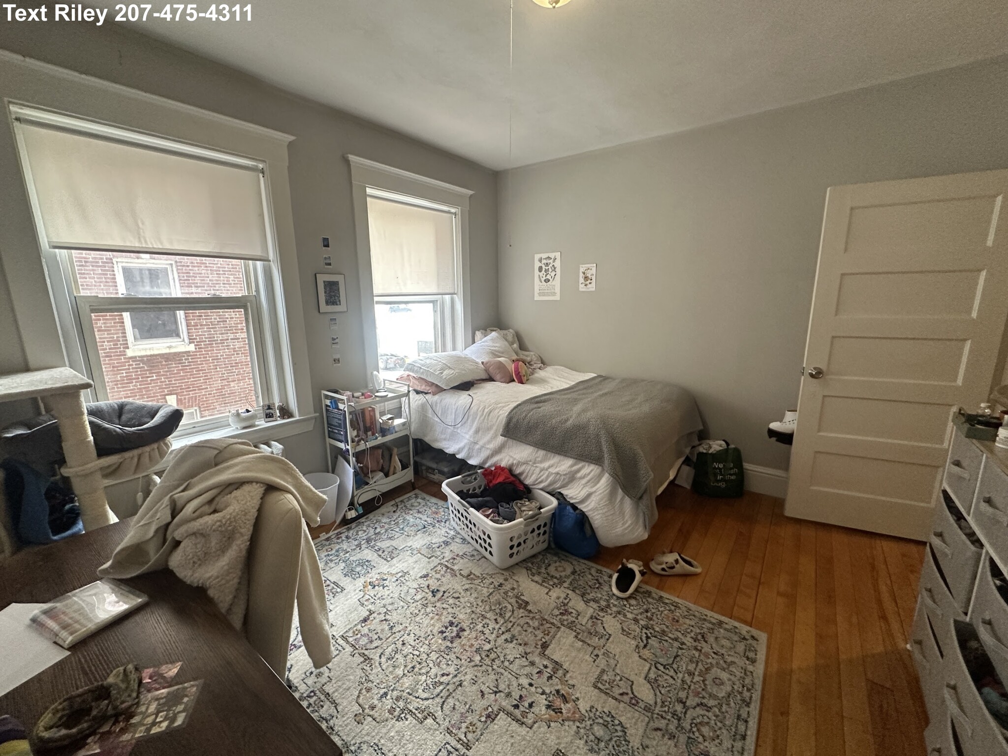 220 South St, Jamaica Plain