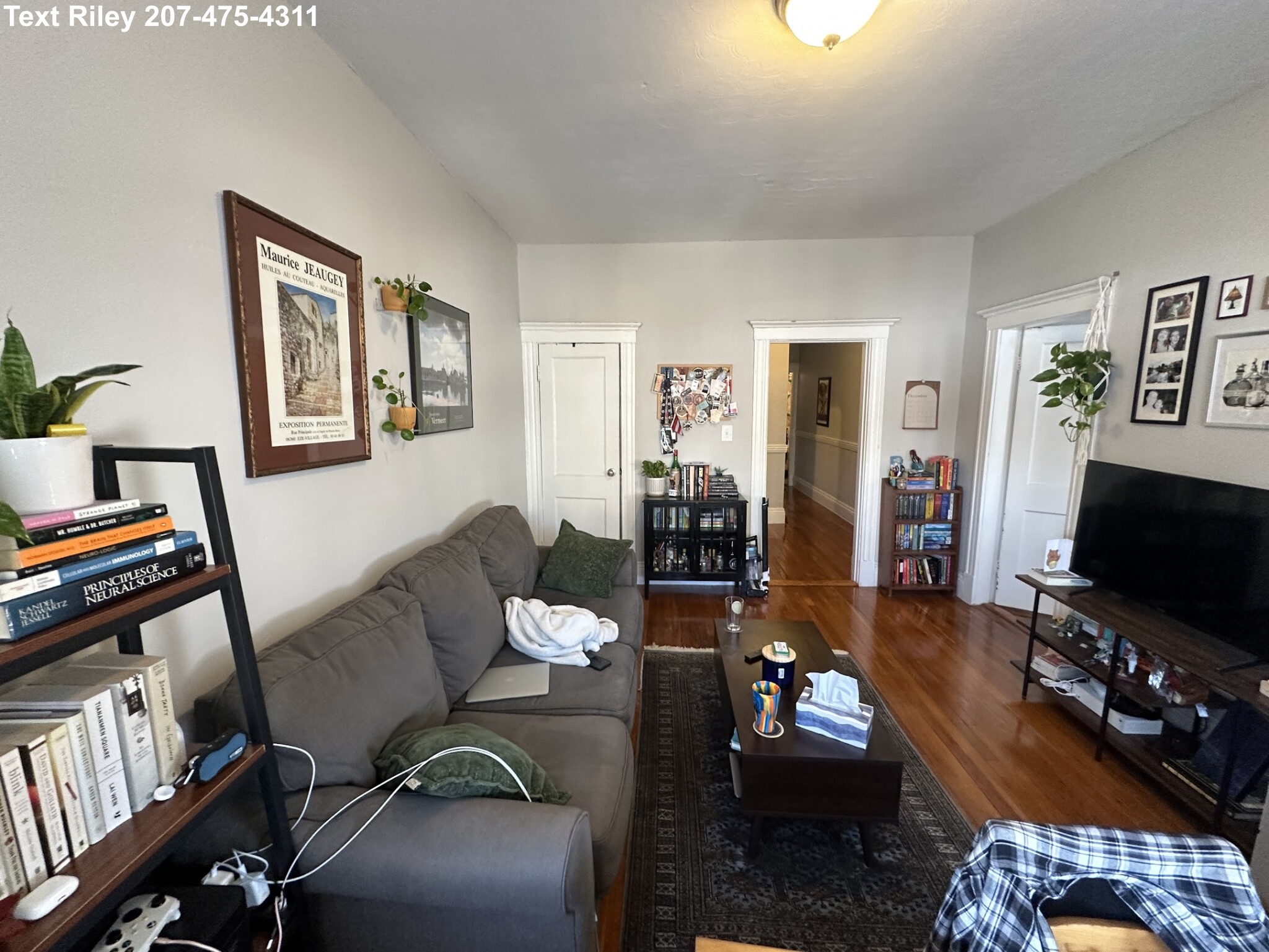 159 Kelton St, Brighton