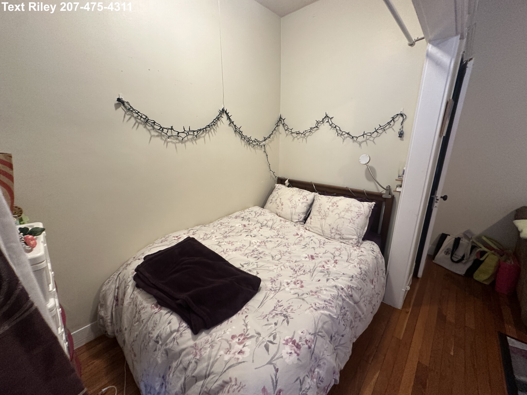 217 Kelton St, Brighton