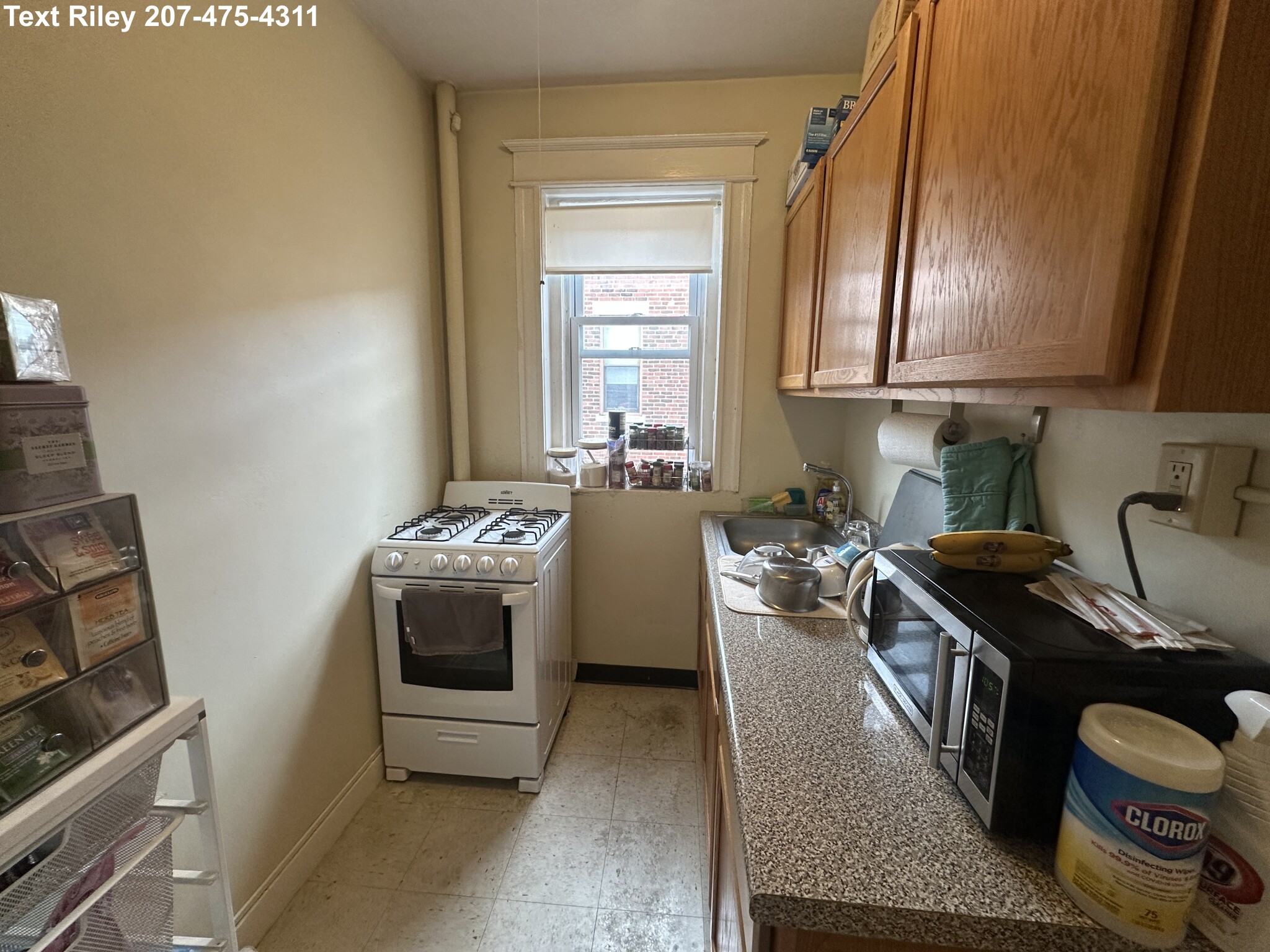 217 Kelton St, Brighton