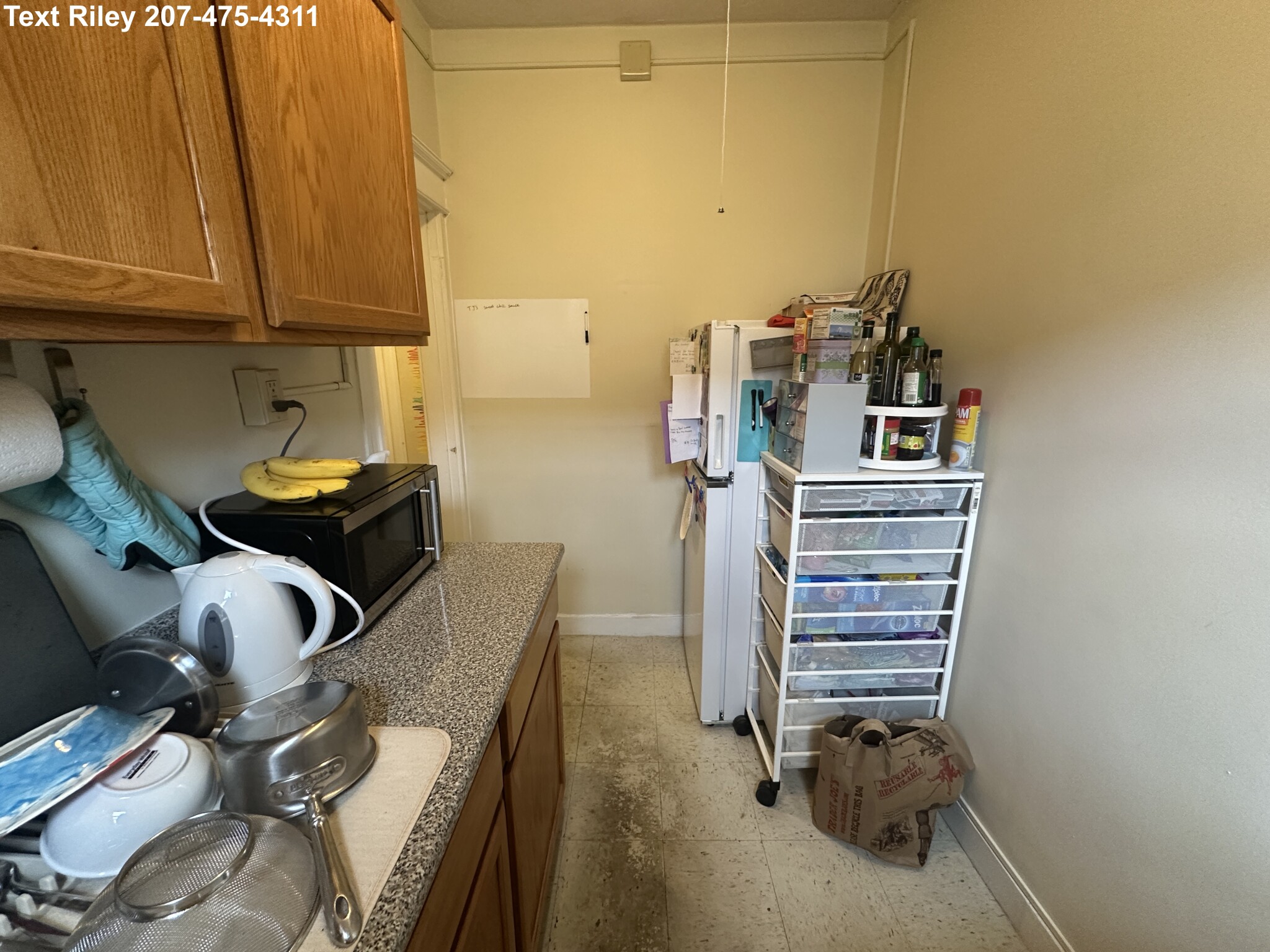 217 Kelton St, Brighton