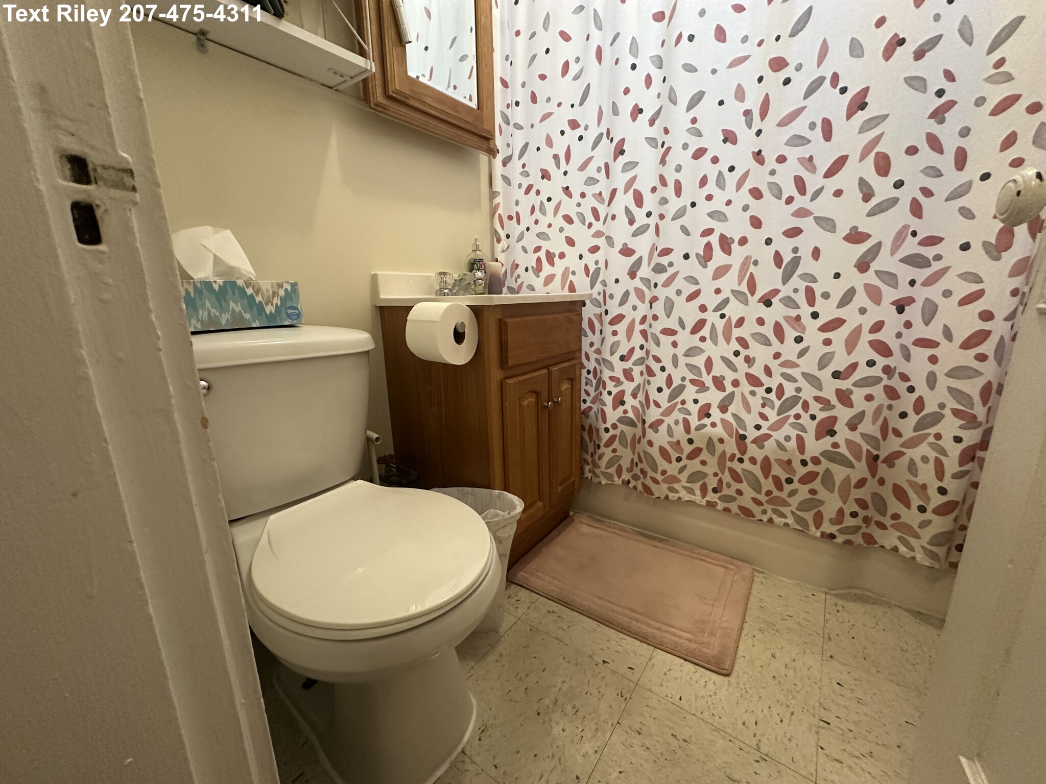 217 Kelton St, Brighton