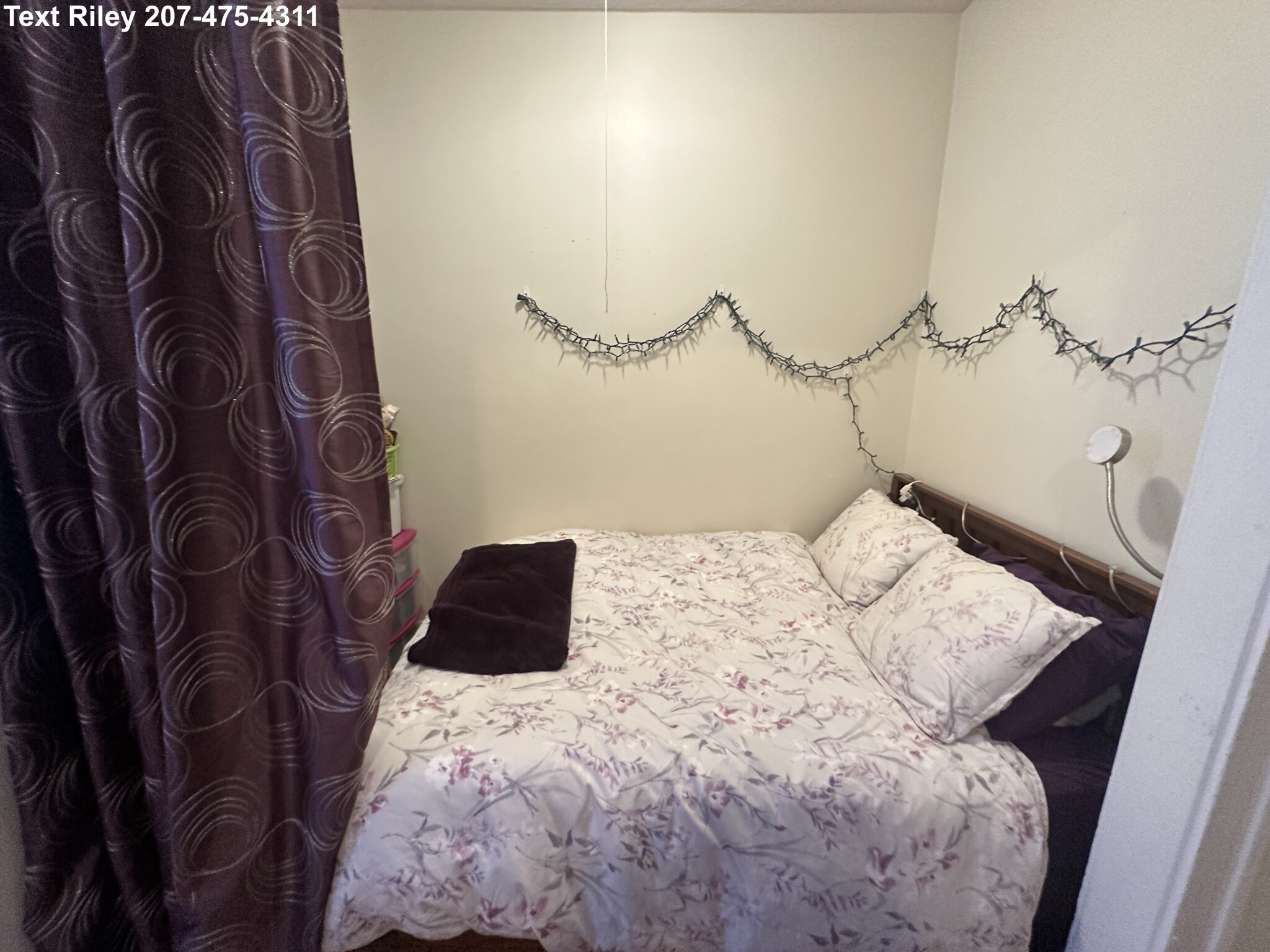 217 Kelton St, Brighton