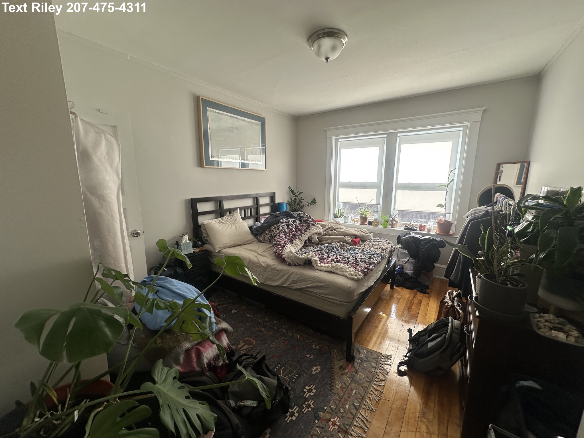 220 South St, Jamaica Plain