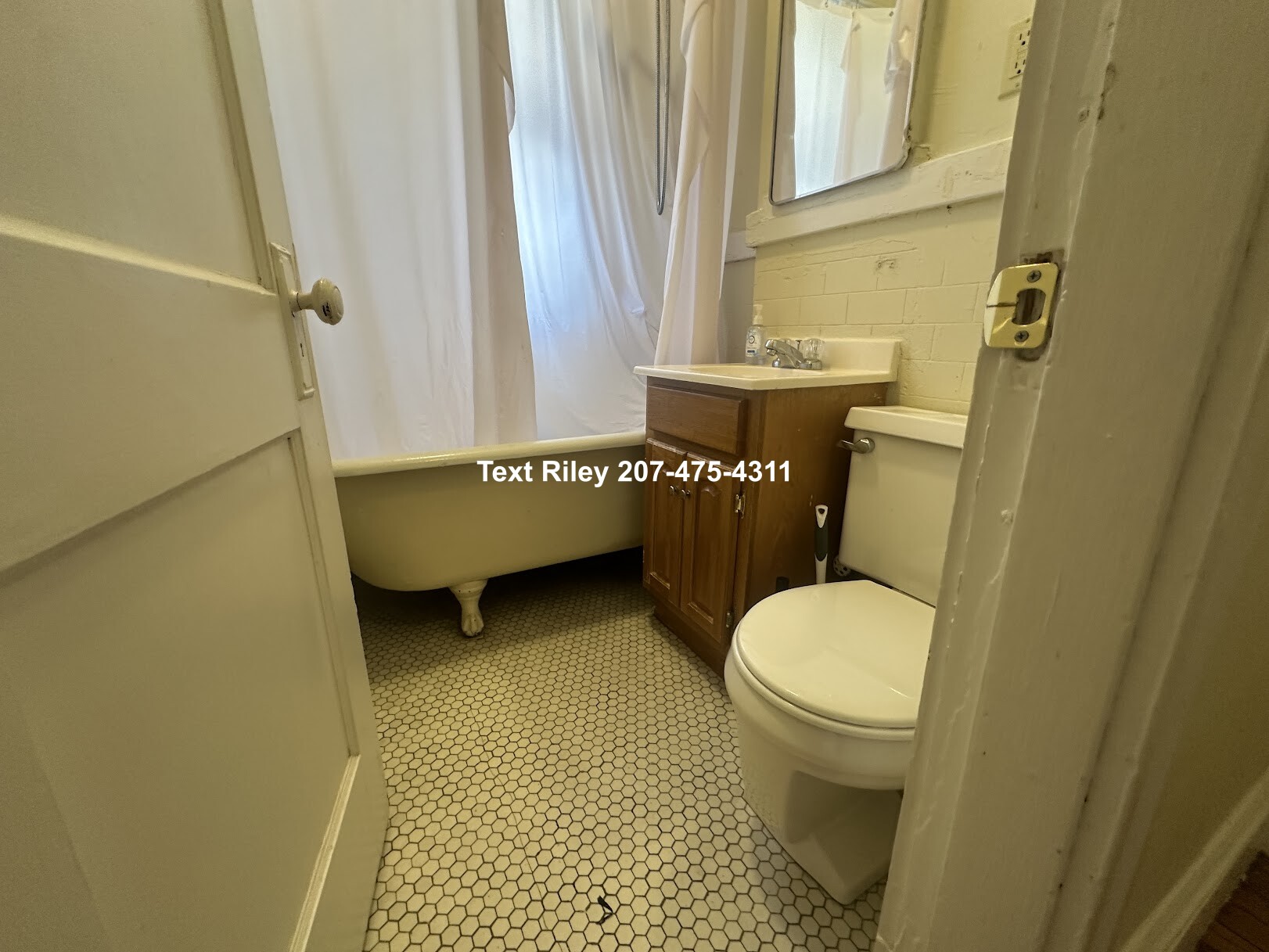 221 Kelton St, Brighton