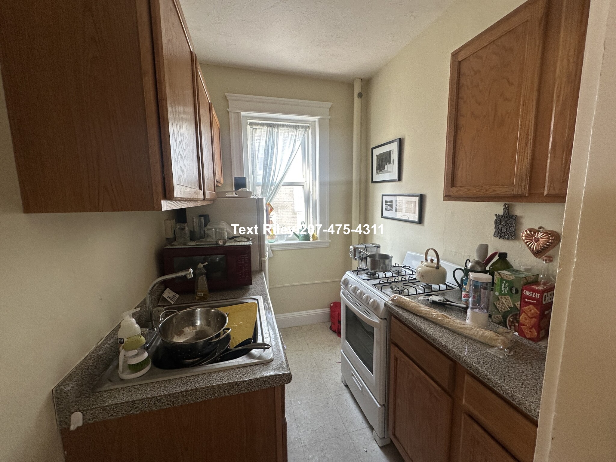 225 Kelton St, Allston