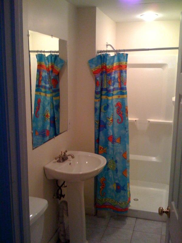 5 bed, 3 bath apartment for rent at 12 Gerald Rd Unit 4, Brighton — photo 4 of 6
