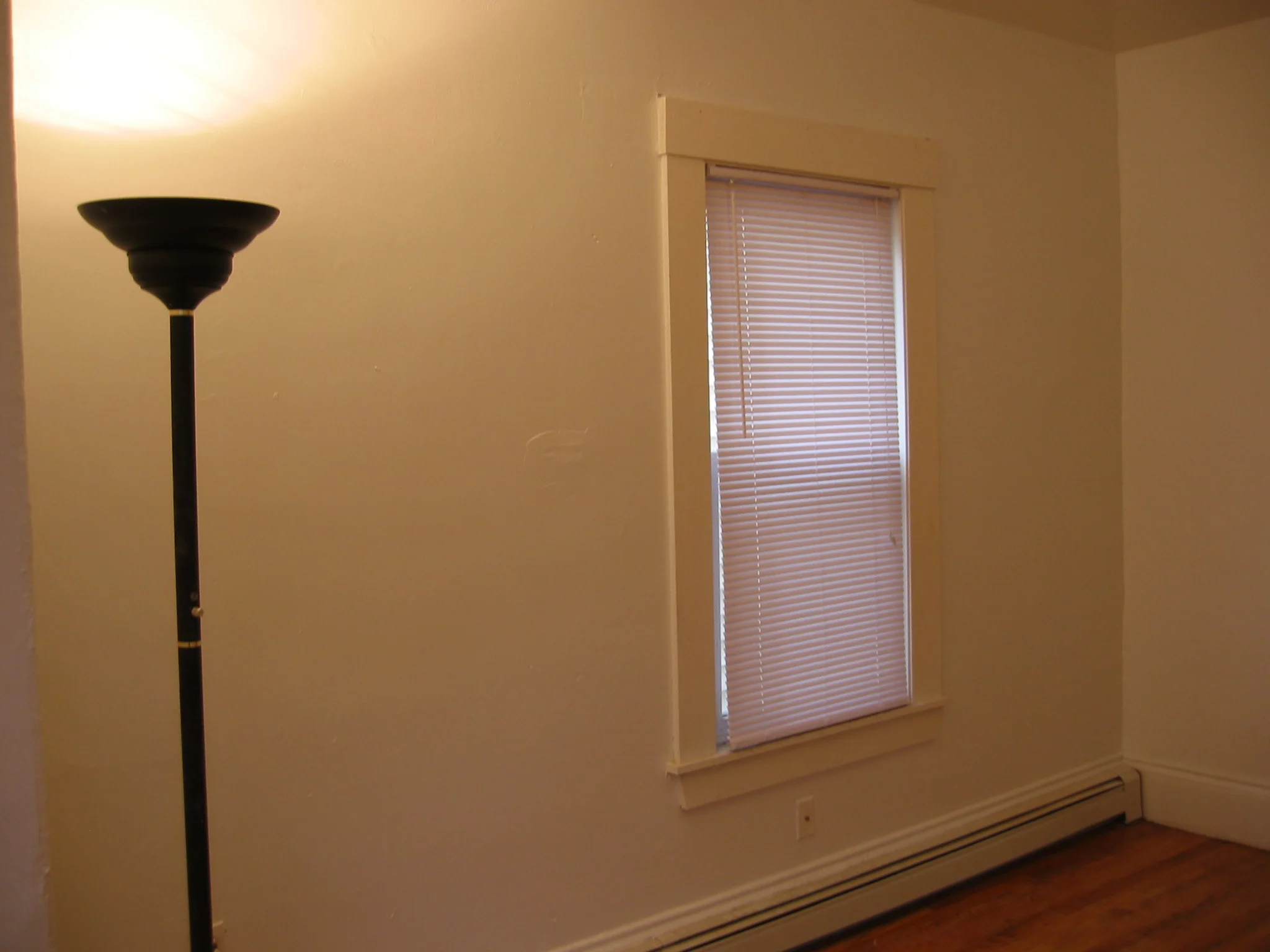 359 Windsor St, Wellington-Harrington